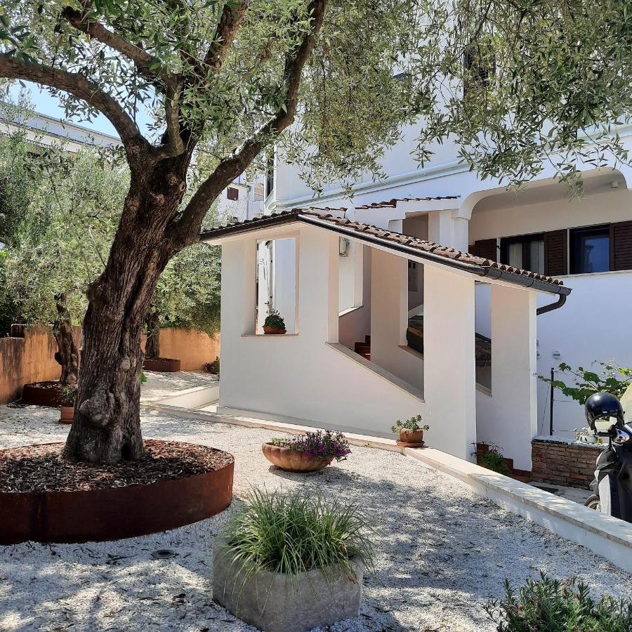 Apartmani Dorijana فيرسار المظهر الخارجي الصورة
